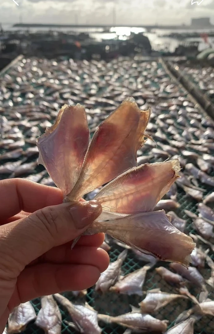 本港渔民自晒淡干迪仔干