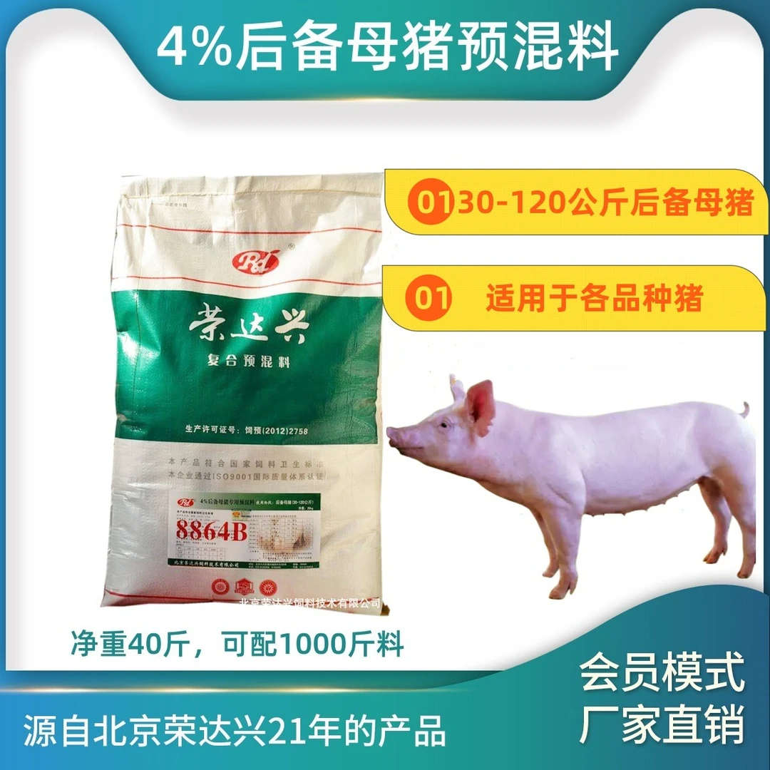 4%后备母猪预混料 小母猪饲料 长白大白母猪饲料 厂家直销 20公斤