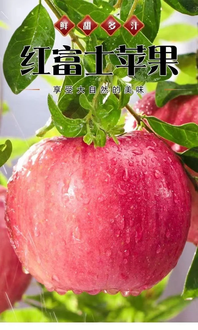 正宗头茬陕西洛川红富士苹果新鲜脆甜多汁现摘当季苹果