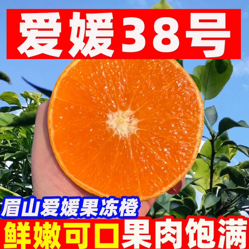 正宗四川爱媛38号果冻橙手剥橙子新鲜水果现摘现发8斤/4.5斤柑橘