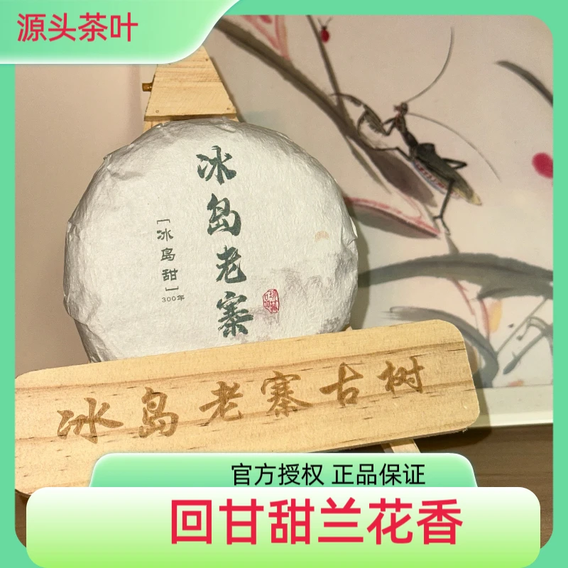2024年冰岛老寨古树茶