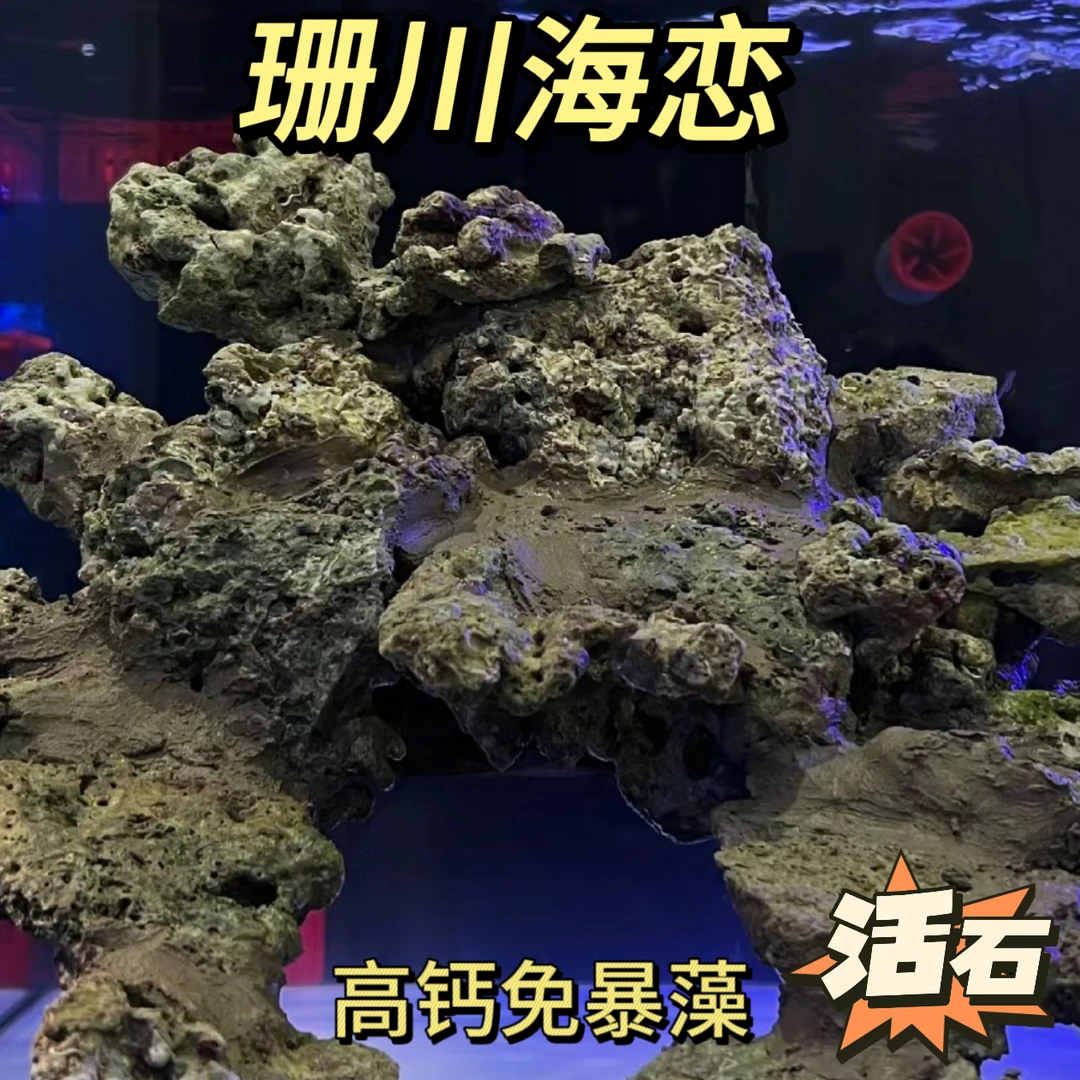 珊川海恋高钙活 免暴藻 海缸观赏 造景石 运费到付拍下默认同意