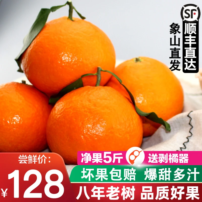 【顺丰包邮】正宗宁波象山红美人柑橘桔子新鲜爱媛28号特产5斤礼盒
