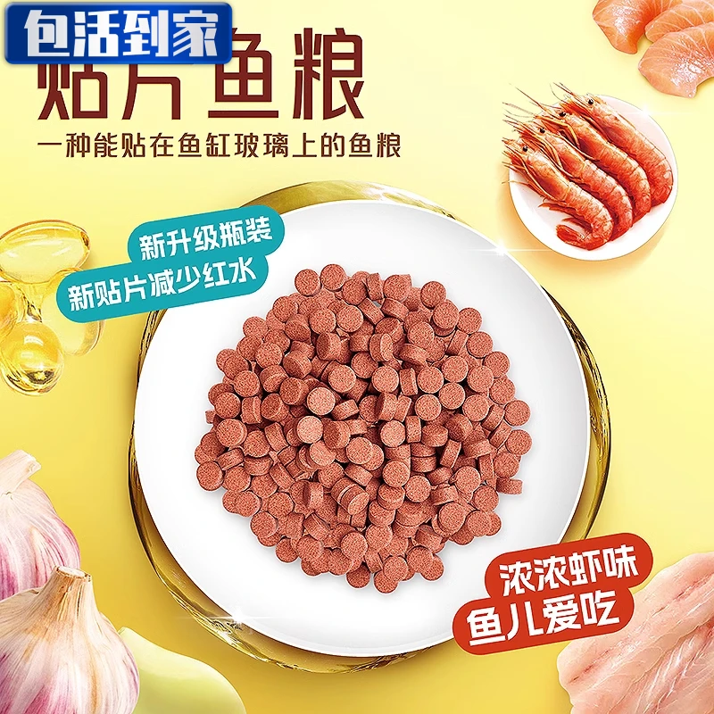 鱼食贴片高蛋白贴片孔雀鱼鱼粮斗鱼斑马鱼饲料金鱼小型鱼丰年虾