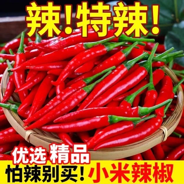 【云南高山香辣新鲜小米辣】新鲜朝天椒特辣小米椒现摘1斤3斤5斤9斤