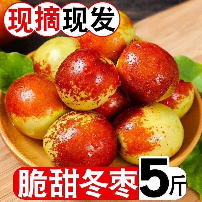 山东沾化冬枣礼盒整箱当季新鲜水果2斤3斤5斤青枣脆甜农家大枣子
