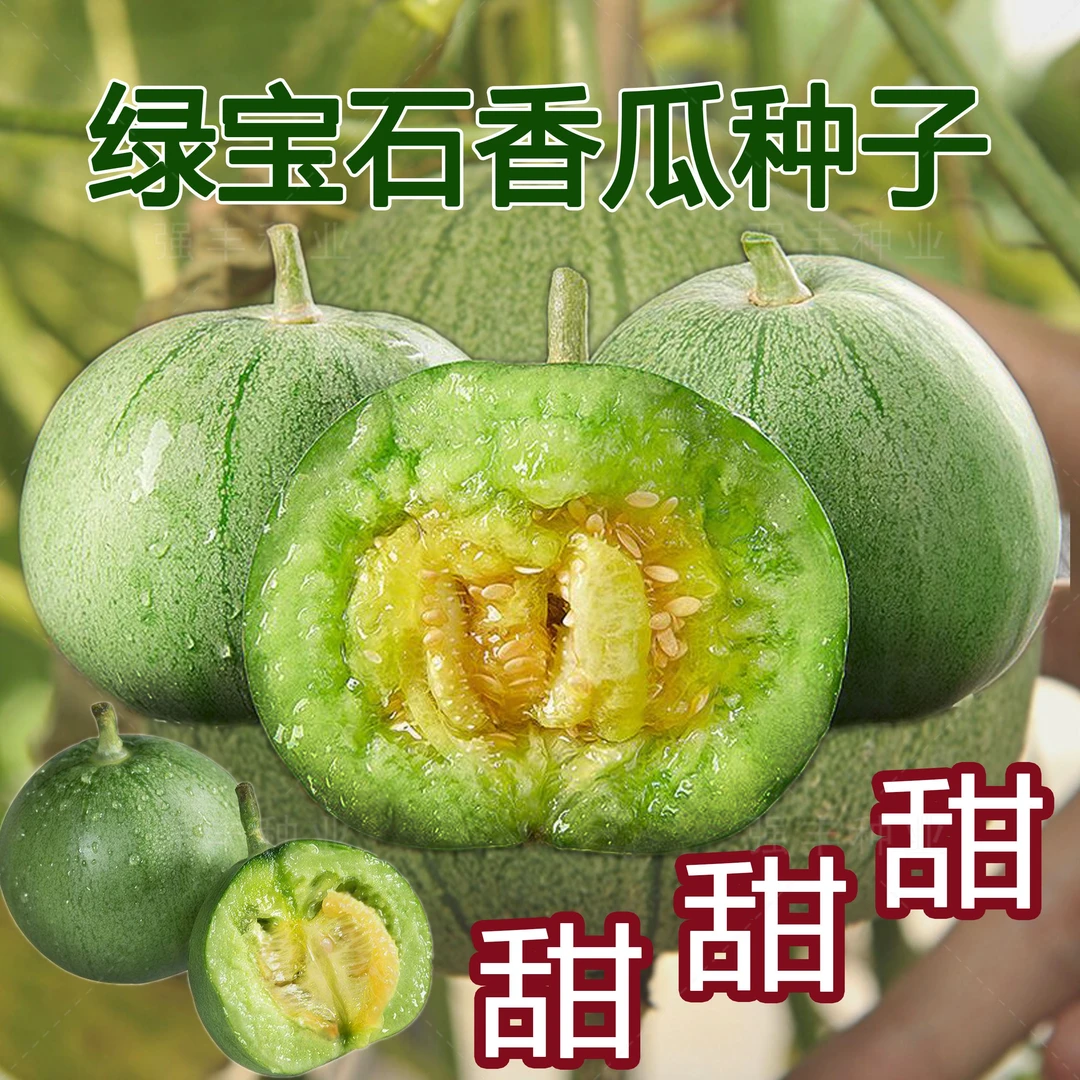 (新客立减)绿宝石甜瓜种子薄皮超甜香瓜种子春季四季脆瓜早熟