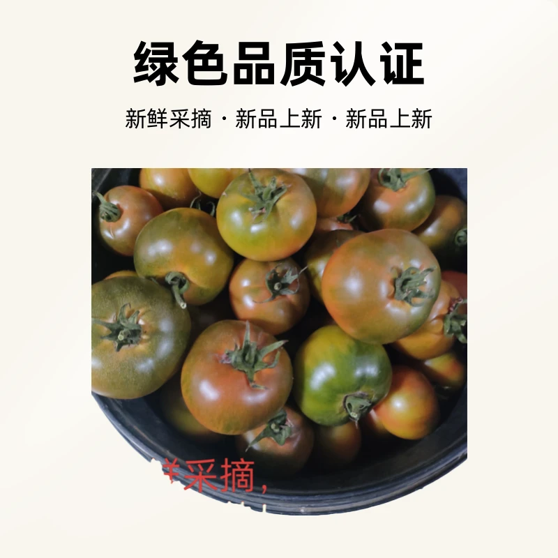正宗铁皮草莓西红柿