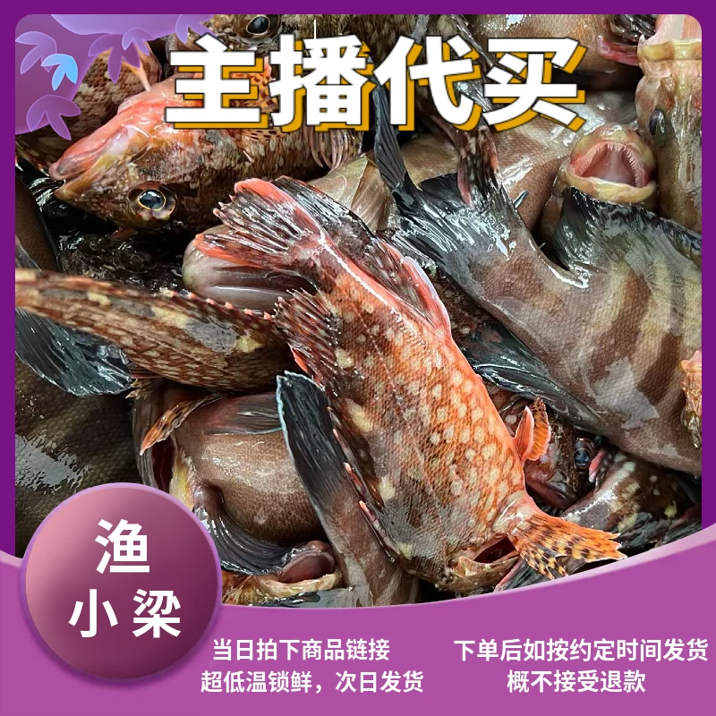 广东阳江海陵岛发货 海鲜 虾 蟹 杂鱼500克起拍【小梁推荐】