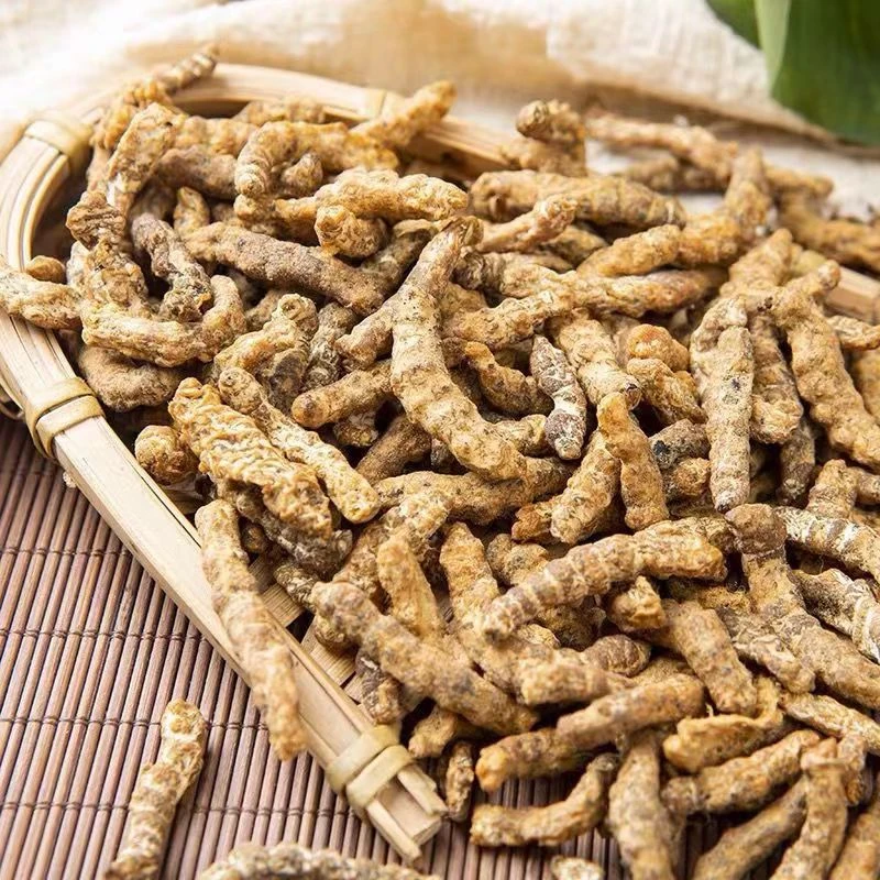 僵蚕白僵蚕炒僵蚕正品僵蚕商品净重足称无干燥剂