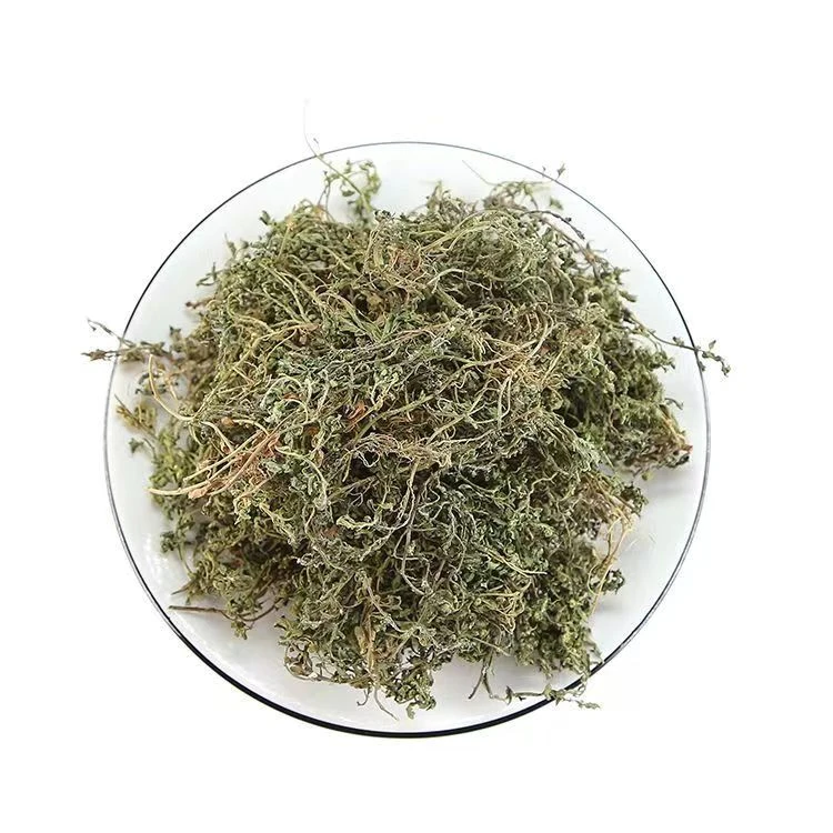 鹅不食草 正品无硫鹅不食草泡茶企业店