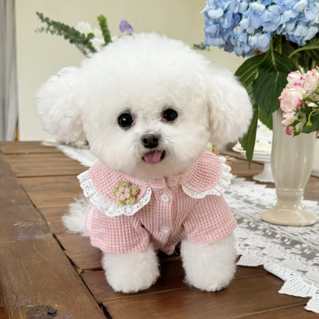 五只小白熊宠物衣服秋冬新款华夫格娃娃领开衫四脚裤狗狗猫咪衣服