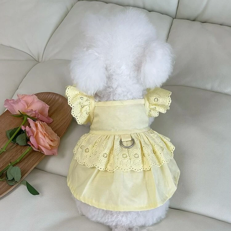 宠物衣服春夏新款飞袖牵引扣公主裙泰迪比熊狗狗爆款防晒外出衣服