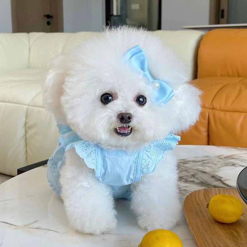 宠物衣服春夏新款蕾丝飞袖公主裙泰迪比熊狗狗猫咪薄款牵引扣衣服