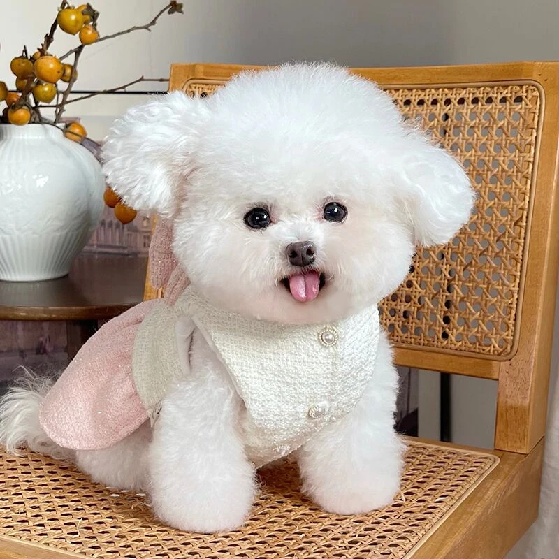 宠物衣服秋冬新款加绒加厚小香公主裙泰迪比熊狗狗猫咪牵引扣外套