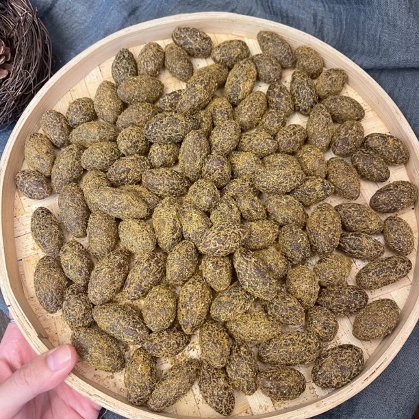 潮汕甘草橄榄【鸡哥福利鱼胶】