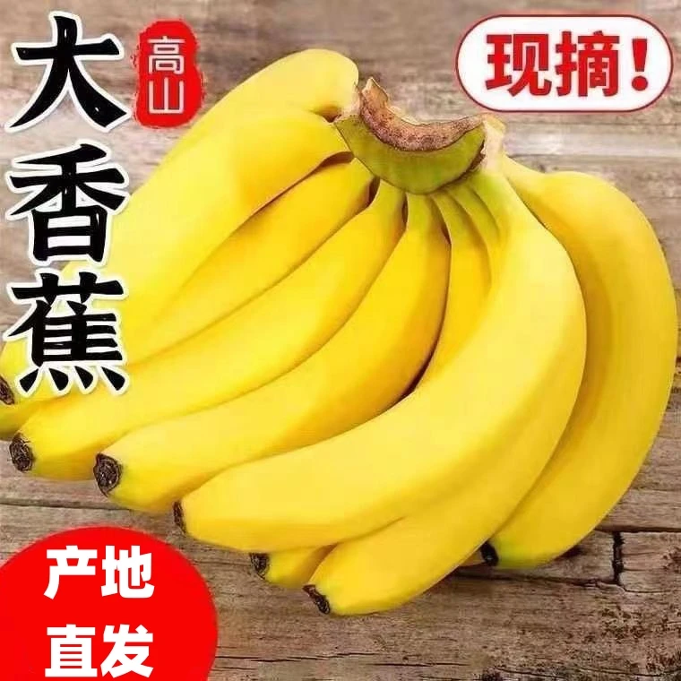 【大香蕉】广西高山甜大香蕉当季新鲜水果包邮芝麻蕉香蕉批发2-9斤
