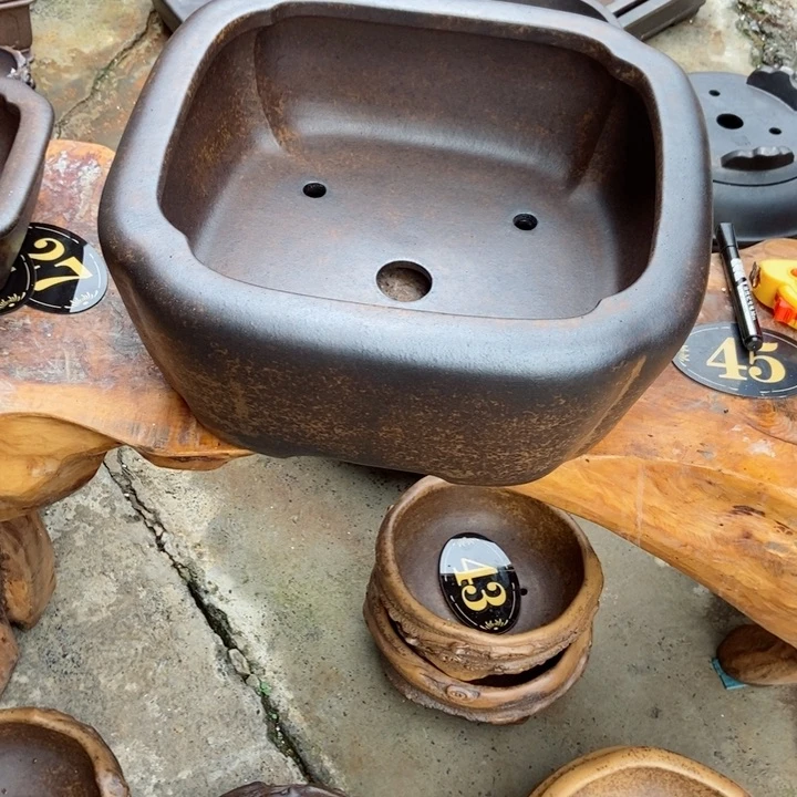 红陶20CM（含）-50CM（不含）M*S