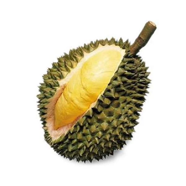 1号【热带果农小时达】干尧榴莲 直播开果  （保4房）