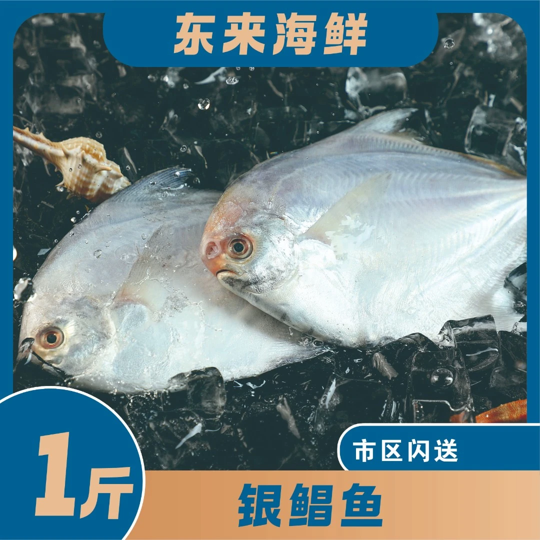 【东来海鲜】小银鲳（单只1两左右）