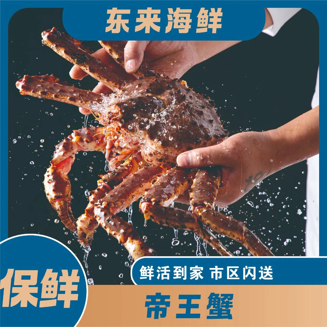 【东来海鲜】包活帝王蟹鲜活5-6斤一只送到家