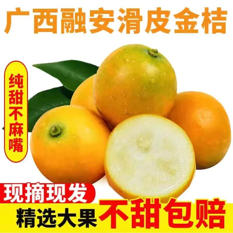 纯甜脆皮金桔5斤滑皮金桔新鲜水果【单果6g以上】带皮吃脆蜜金柑