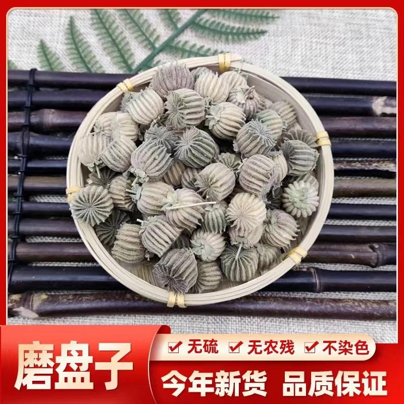 原生态磨盘草磨盘子新鲜干货500g