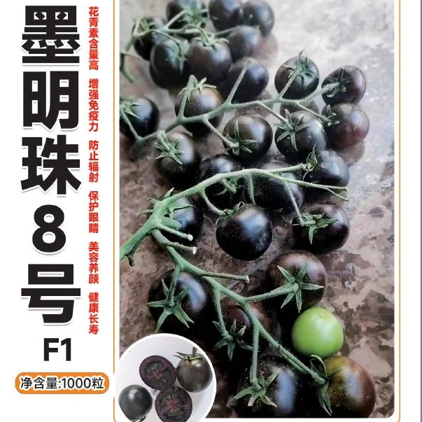 墨明珠8号,杂交一代黑色小番茄单果重20克左右,糖度8耐运耐裂