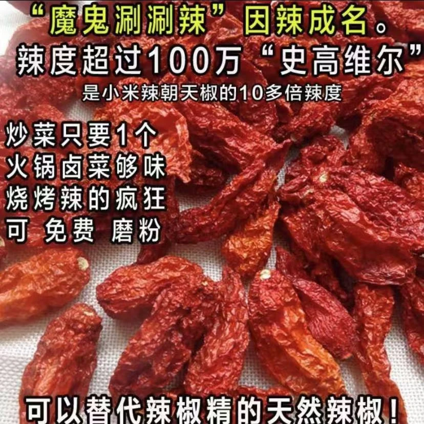 云南涮涮辣变态辣卡罗莱纳死神辣椒炒菜魔鬼椒干辣椒特辣魔鬼辣椒
