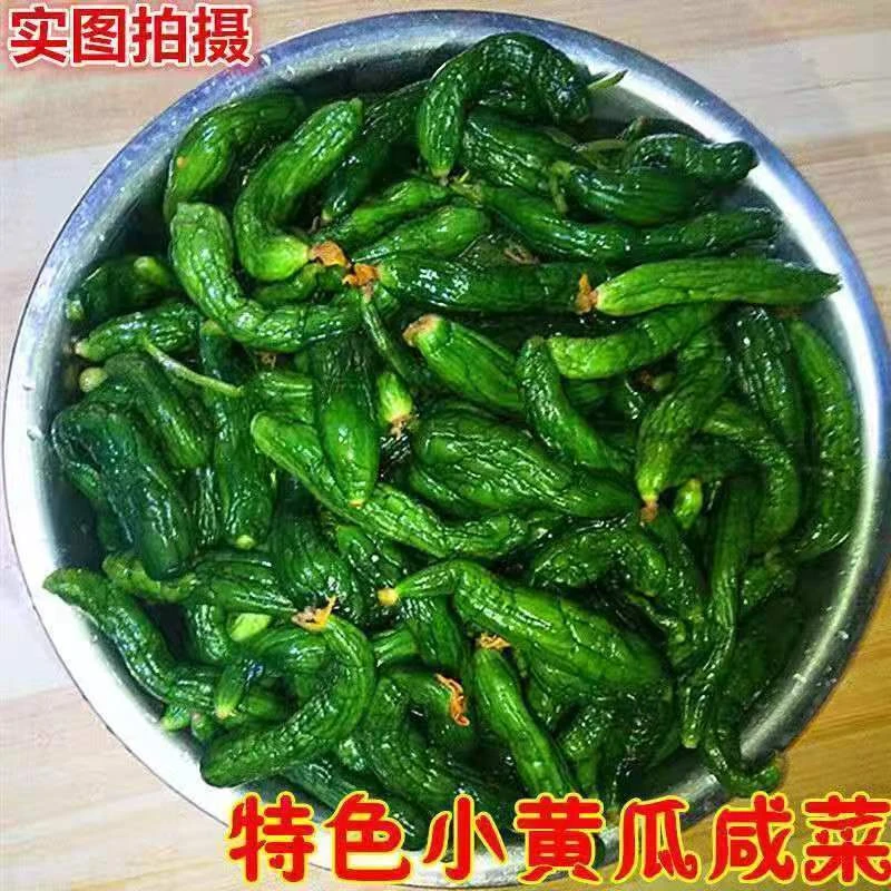 正宗小黄瓜咸菜鲜脆可口特色小咸菜自己腌制黄瓜咸菜山东特产