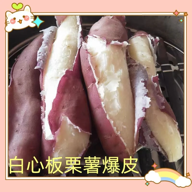 高州爆皮王番薯爆粉入口香甜正宗饱满美味沙地红薯白心红薯皮薄