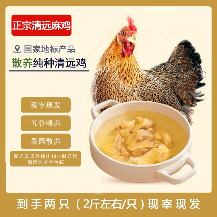 【拍一发二】两只装广东清远鸡现宰现发冷链48小时新鲜达约2斤/只