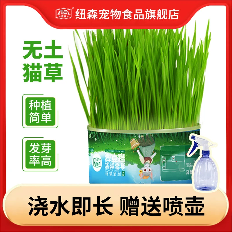 纽森罐装猫草送喷壶无土猫草不添加助排毛球清新口气清洁多种
