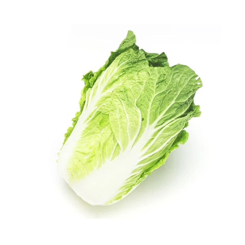 优选 大白菜1.5-1.7kg