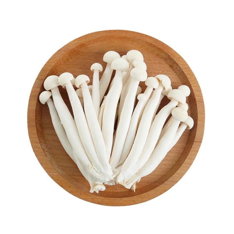 优选 海鲜菇500g