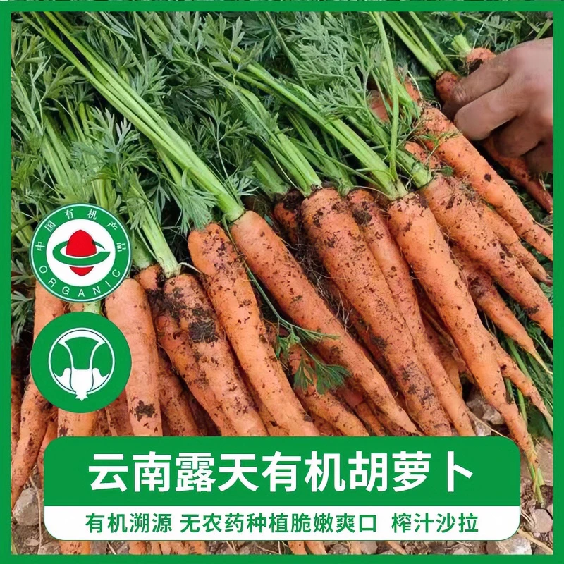 云南良道有机胡萝卜有机认证纯天然新鲜优选生吃水果甜脆辅食榨汁