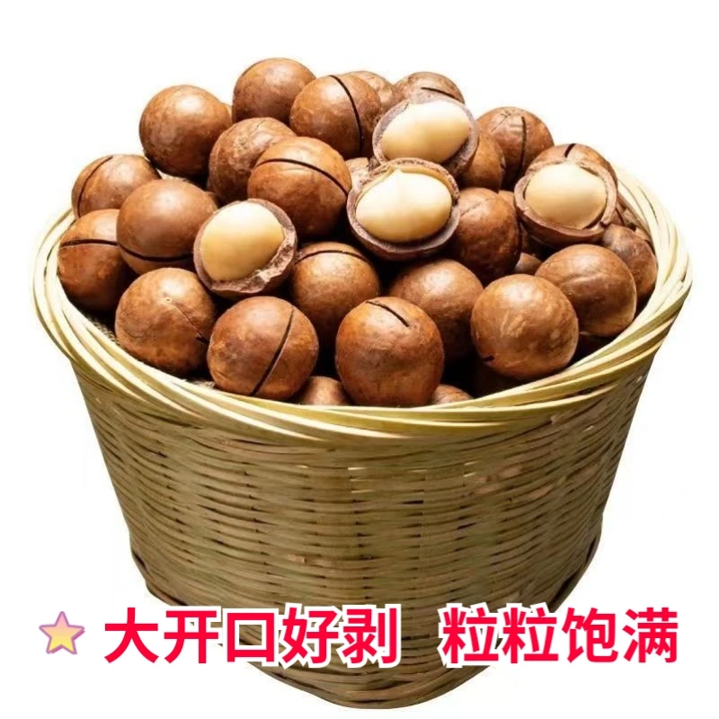 【开口原味夏威夷果】云南新鲜澳洲坚果孕妇休闲零食1000g 送开口器