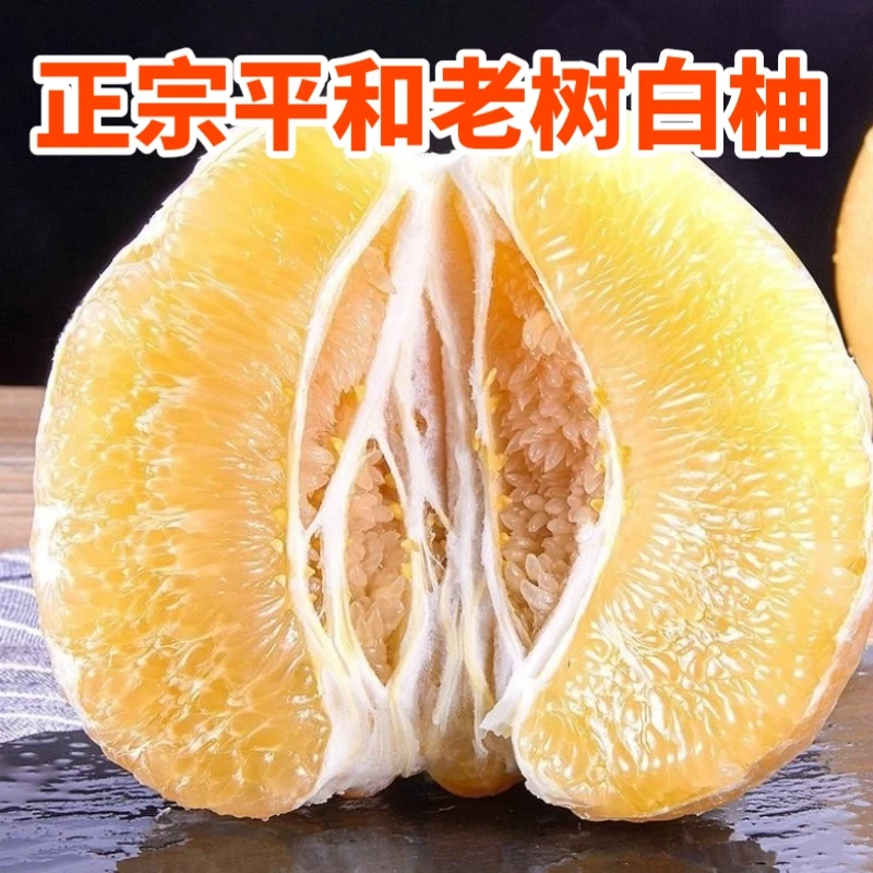 福建平和琯溪蜜柚白心柚子白肉柚新鲜应季水果产地直发