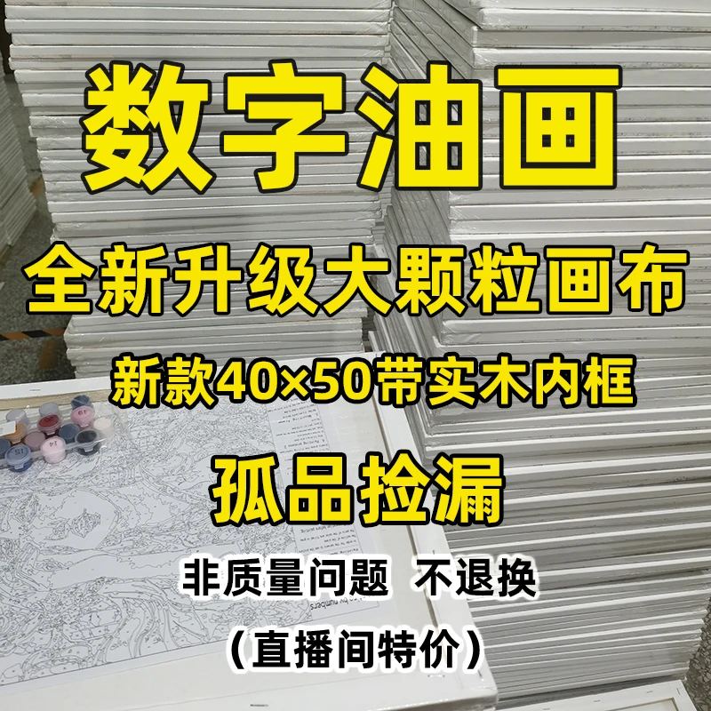 201-400号DIY数字油画40*50直播间特价