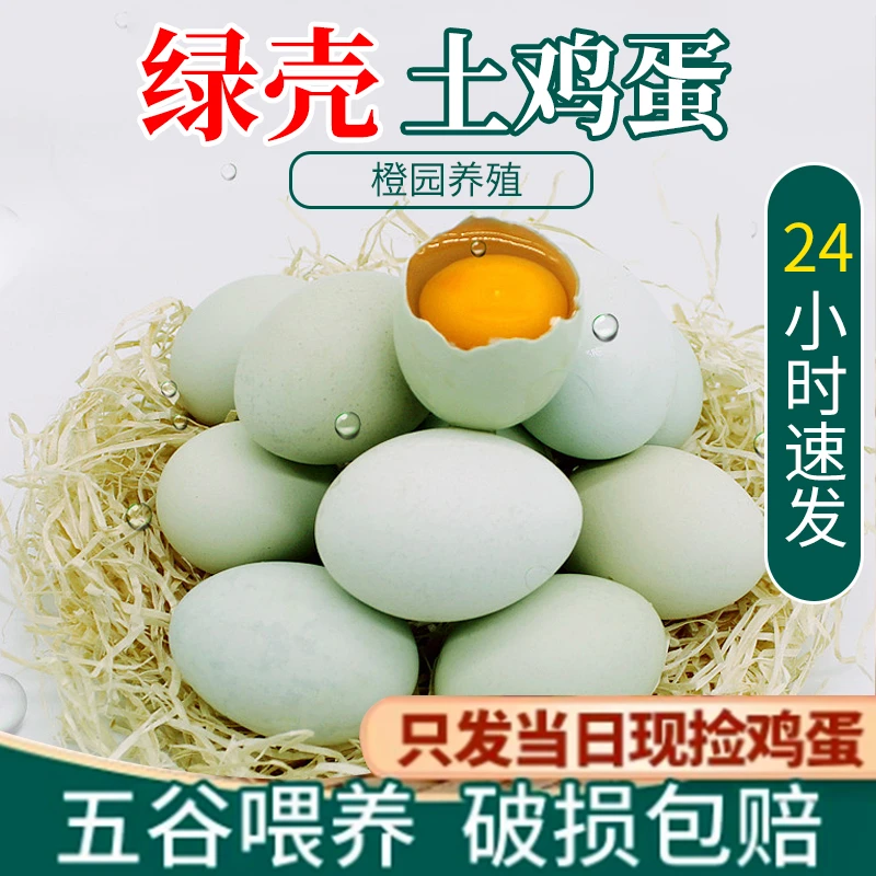 【顺丰包邮50枚】脐橙园散养富硒绿壳土鸡蛋 纯粮喂养 约40-45g/枚