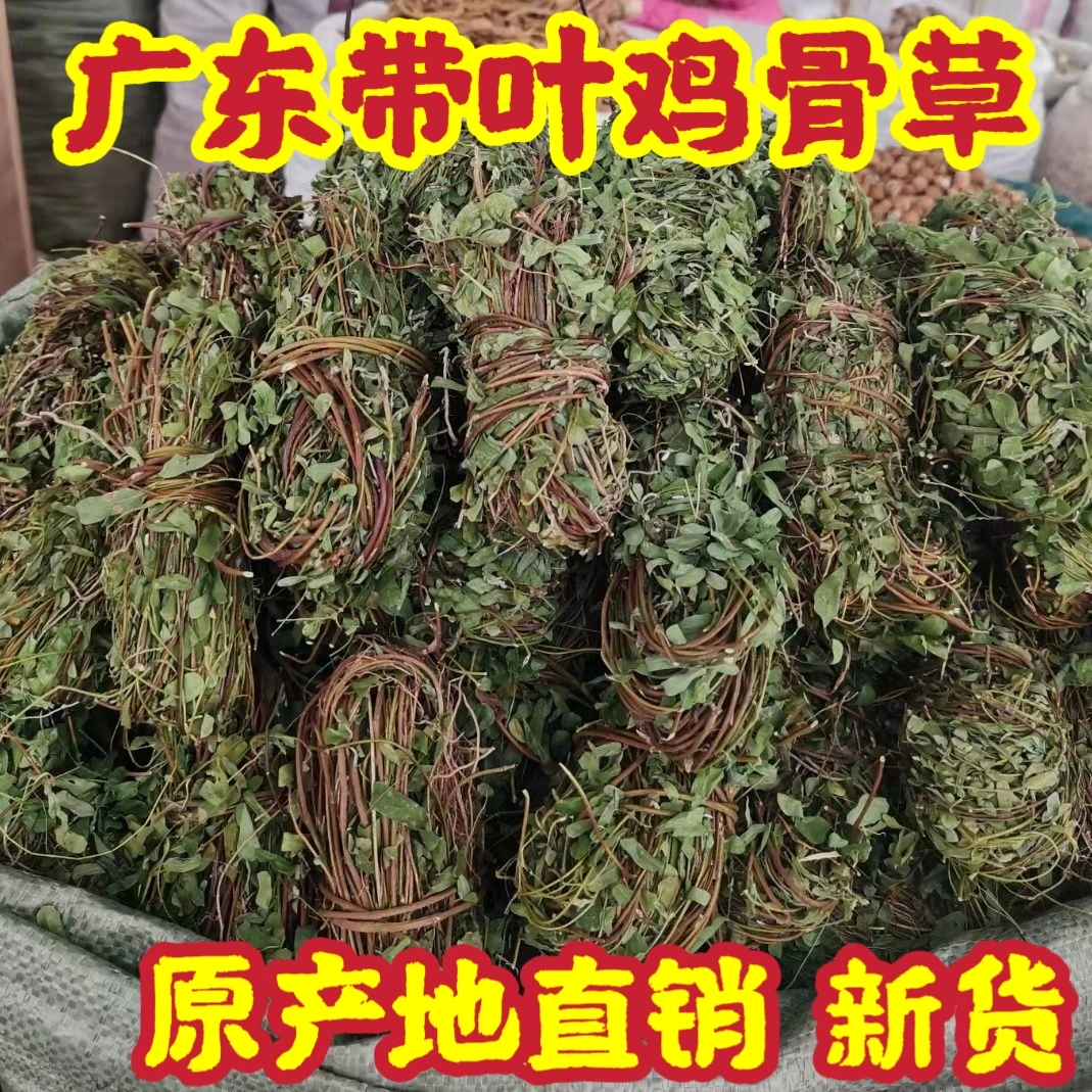 野生鸡骨草广东河源煲汤干货新鲜大黄草无硫全草