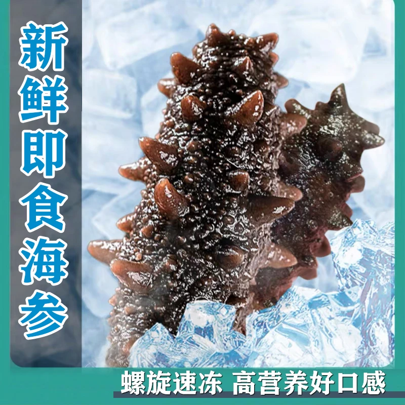 【即食海参】海参开袋即食海参美味新鲜有劲道500g云仓发货方便滋补