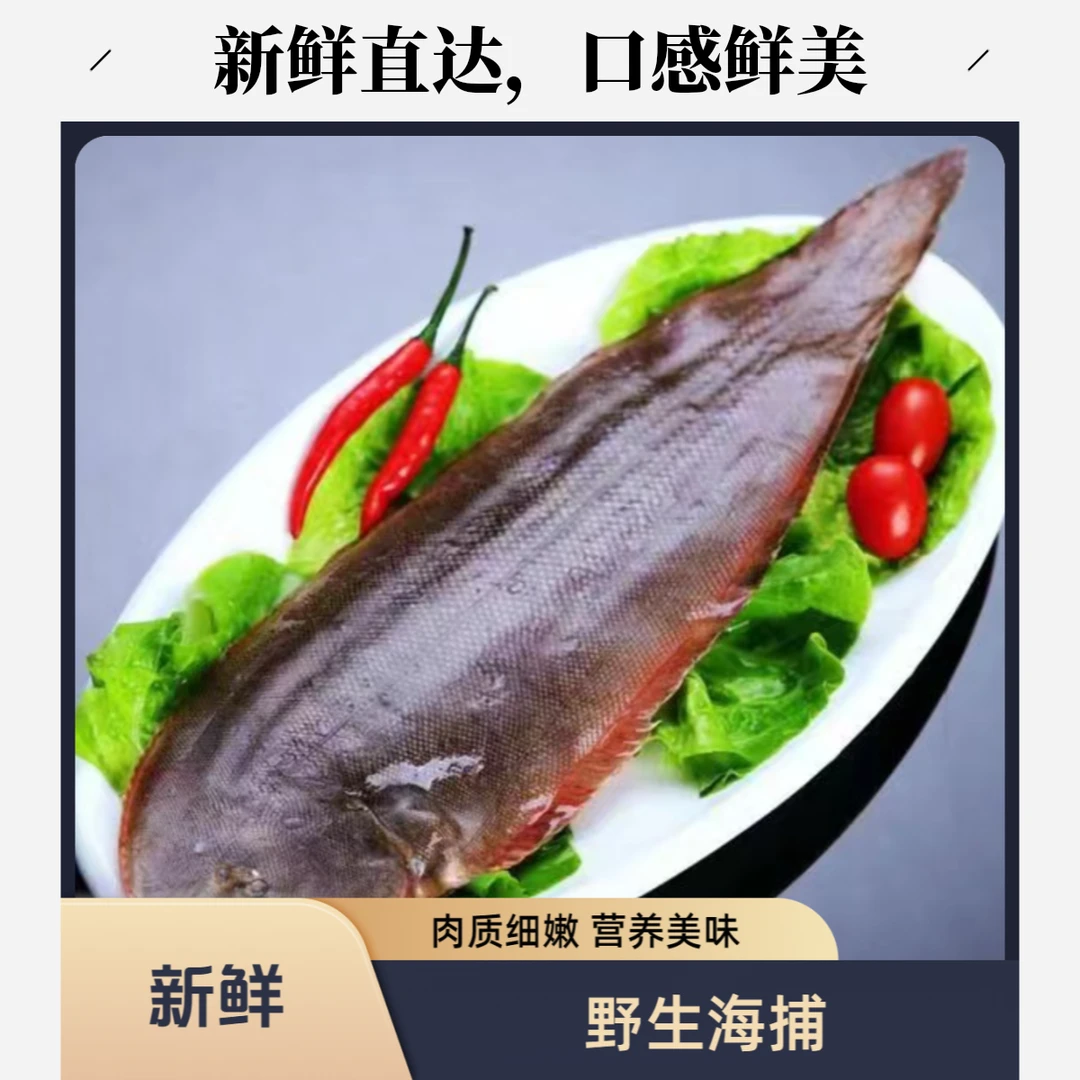 野生海捕新鲜大号龙利鱼4-6斤*半斤左右每条舌头鱼踏板鱼顺丰冷链