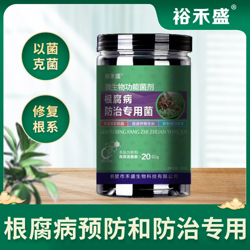 防治根腐病专用微生物菌剂