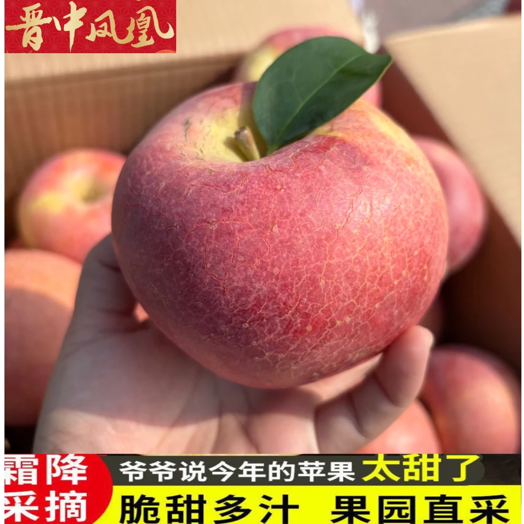 【买5斤送4斤】山西运城冰糖心苹果纸加膜红富士苹果新鲜水果脆甜