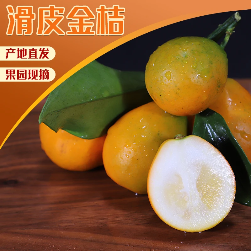 【第二代】正宗广西融安滑皮金桔应季水果新鲜采摘纯甜无酸桔子
