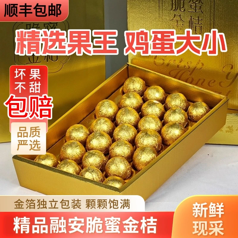 【第三代巧克力包装】广西融安脆蜜金桔纯甜无酸水果新鲜精美