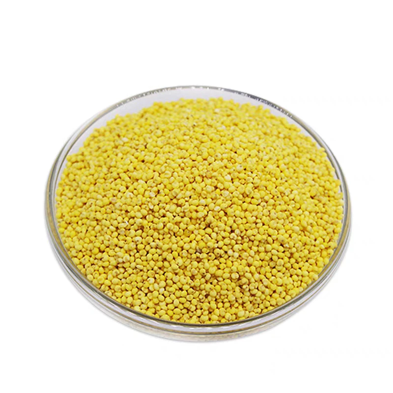 东北大黄米黑土地种植产地直发农家种植大黄米