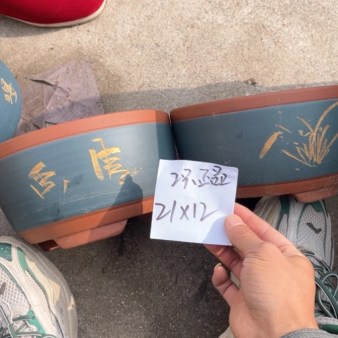 【闪购商品】紫砂花盆