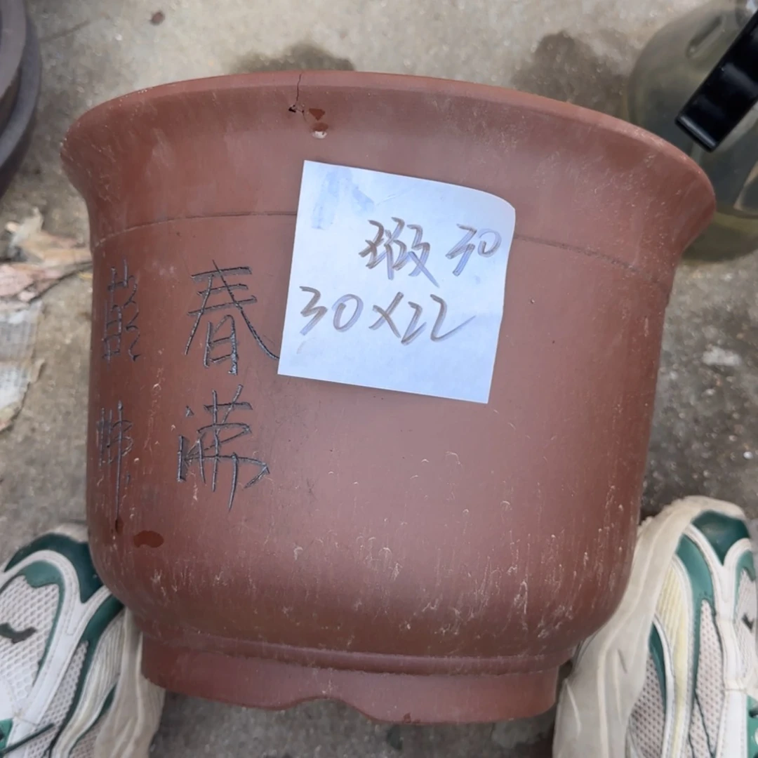 【闪购商品】紫砂花盆
